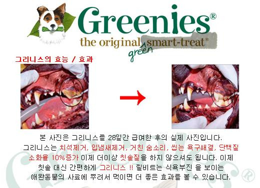 그리니스 이미지