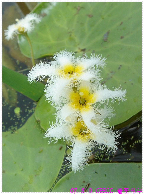 경남환경 이미지