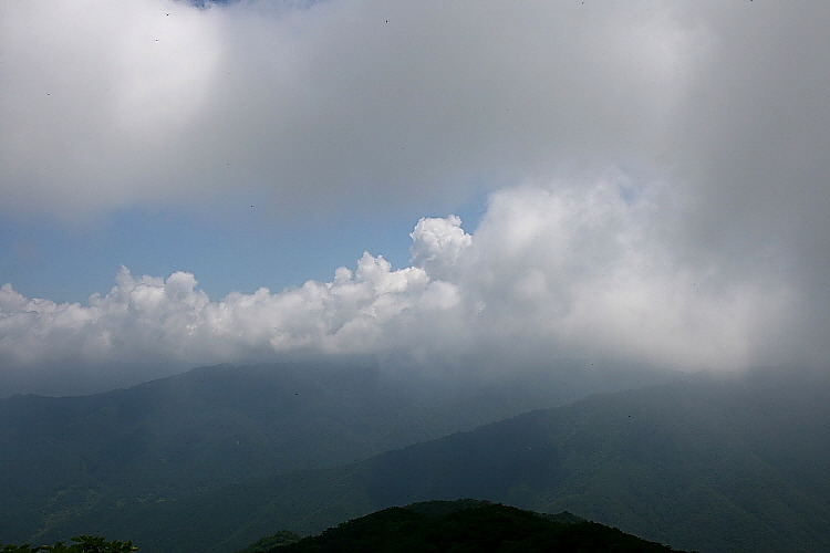 �̹����� Ŭ���ϸ� ������ ���� �� �ֽ��ϴ�.