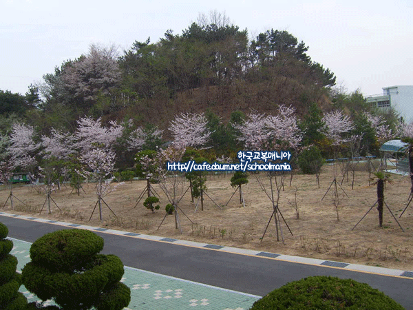 혜화여자중학교 이미지