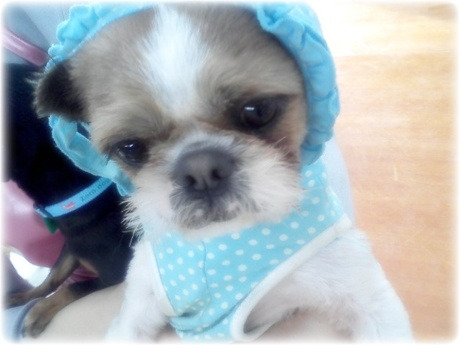 뭉치 이미지