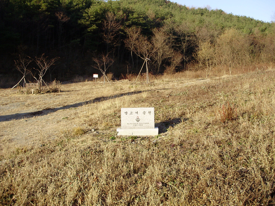 서오리 이미지