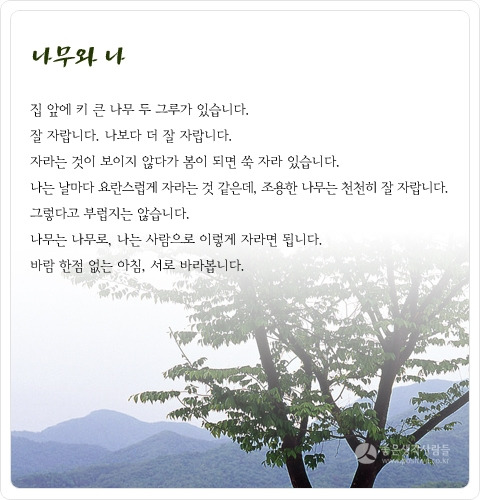 나무와나 이미지